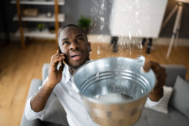 Best Flood damage cleanup  in Teviston, CA
