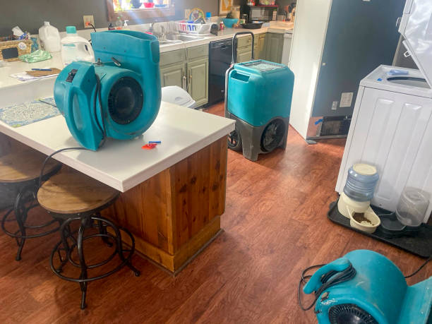 Best Sewage cleanup and water damage restoration  in Teviston, CA