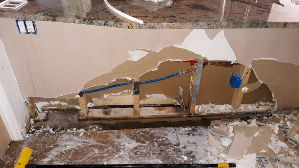 Best Water damage restoration experts  in Teviston, CA