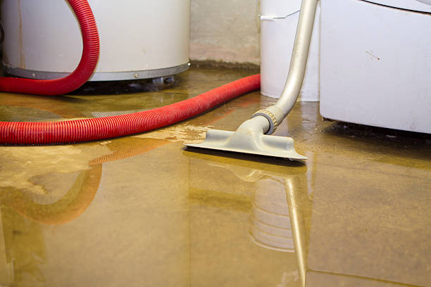 Best Flooded house restoration  in Teviston, CA