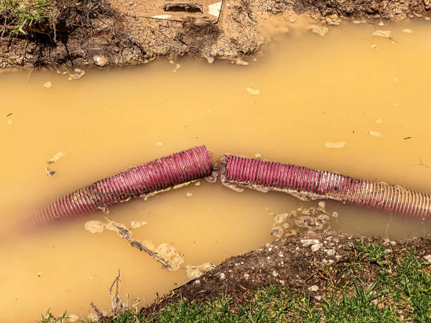  Teviston, CA Water damage restoration Pros